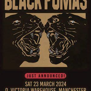 black pumas manchester 2024