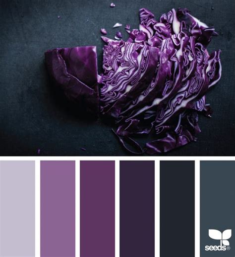 black purple color palette