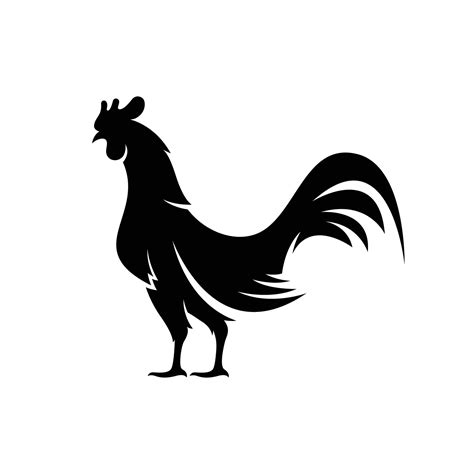 black rooster website