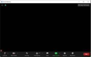 Black Screen In Zoom