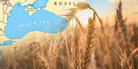 black sea grain initiative russia