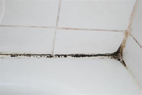 Black Shower Mold