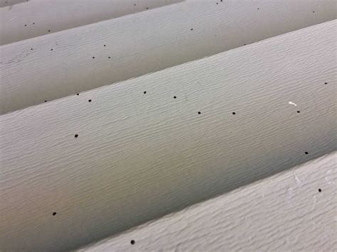 Black Specks On Vinyl Siding