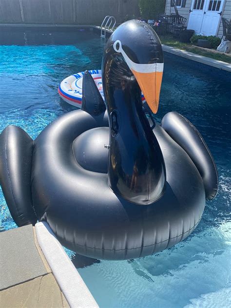 Black swan pool float