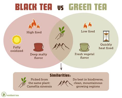 Black Tea Taste Definition