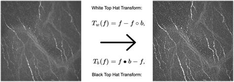 Black Top Hat Morphology