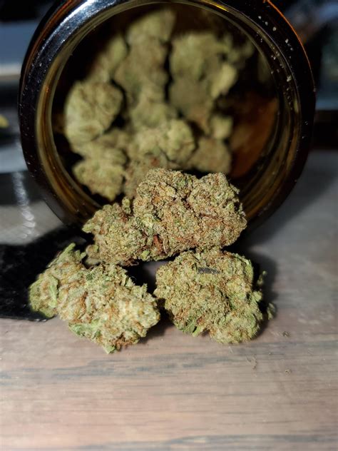 Black Truffle Strain Reddit