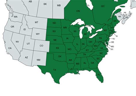 Black Walnut Tree Locations