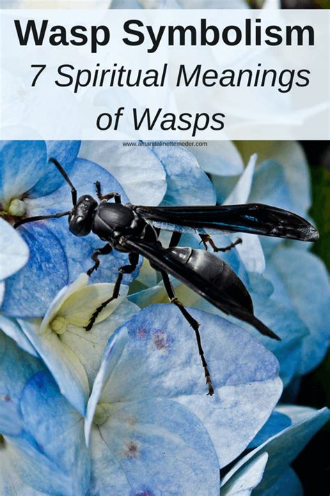 black wasp spiritual meaning