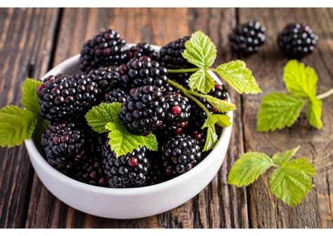 Blackberries For Ibs