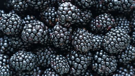 Blackberries Technology