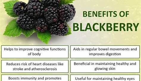 Blackberry Fruit Health Benefits Of Blackberries y Recipes, Food