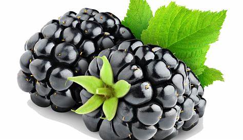 Blackberry Fruit Images Hd 4k Ultra HD Wallpaper Background Image