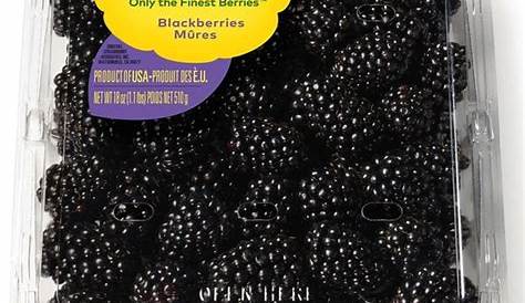 National Gardens Blackberry Fruit Fruit Seeds Buy