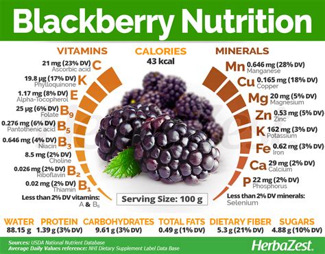 Blackberry Fruit Information