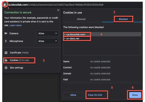 Blackboard Collaborate Not Loading