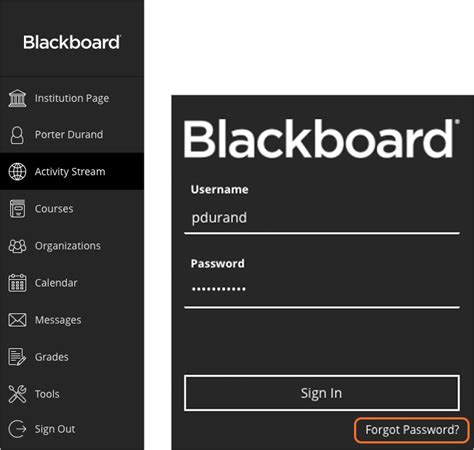 blackboard for students login