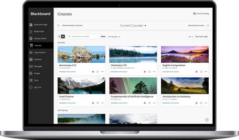 Blackboard USS Learning System