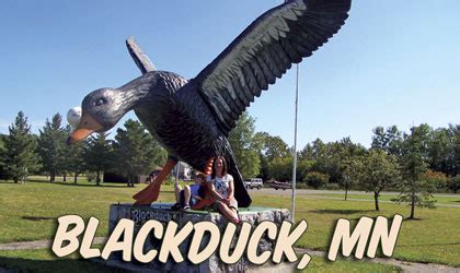 Blackduck Community