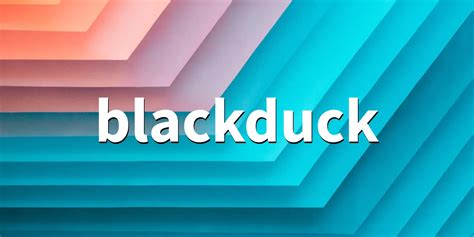 Blackduck Rest Api Python