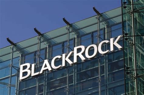 blackrock company net worth