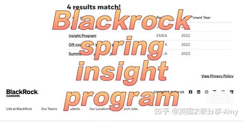blackrock spring insight 2024