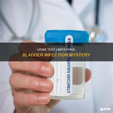 Understanding Bladder Infections: What Your Urine Sample Reveals