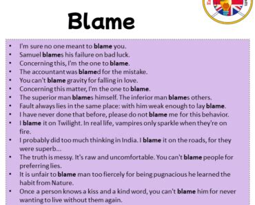 blame make sentence in english