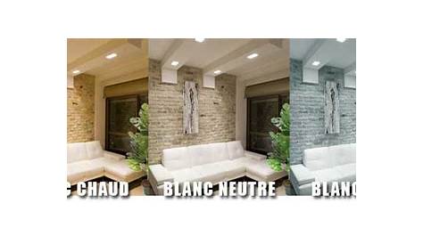 Blanc Chaud Ou Blanc Froid Pour Exterieur Choix De Taille 50 100 200 400 600 LED /