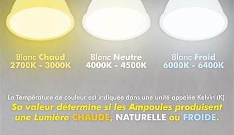 Guirlande LED Rideaux 220V 3m IP44 Blanc Froid