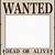 blank wanted poster template