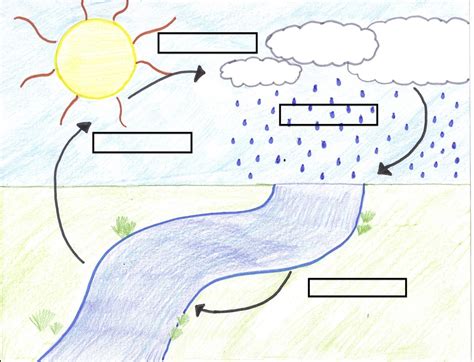 blank diagram of the water cycle