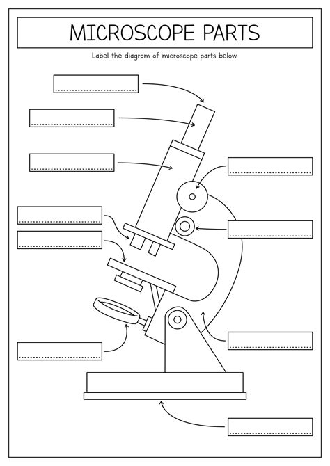 Blank Microscope Picture