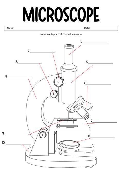 Blank Microscope To Label