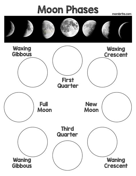 blank moon phases worksheet pdf