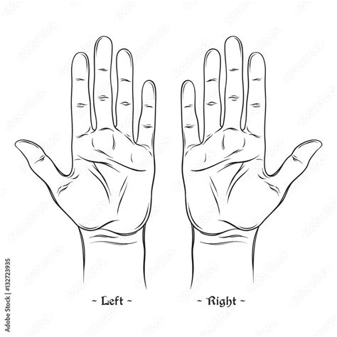 Lots of Hand Outlines and Templates (Free Printables!)