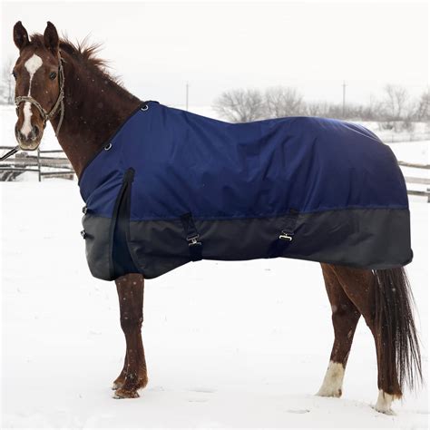 Blanket D Horse