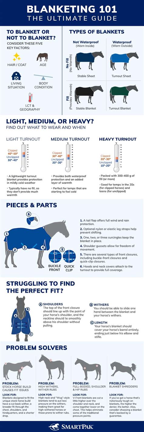 Blanket Guide For Horses