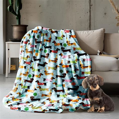 blanket with dachshund