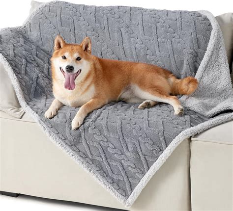 Blankets For Big Dog