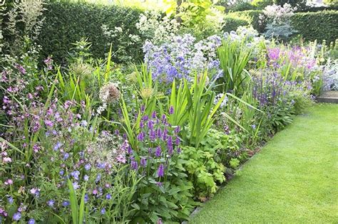 Blauwe Border Bloemen