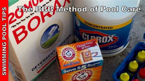 Bleach Baking Soda Borax Pool