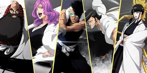 bleach heintai