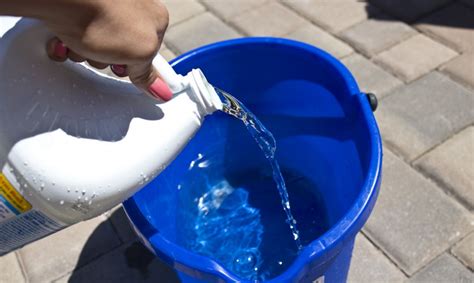 bleach water purification