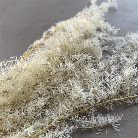 Bleached Flowers Wholesale