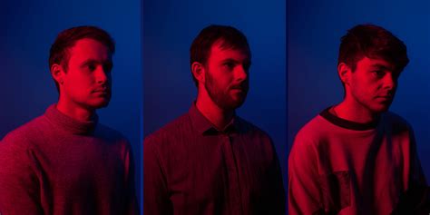 bleeding heart pigeons band