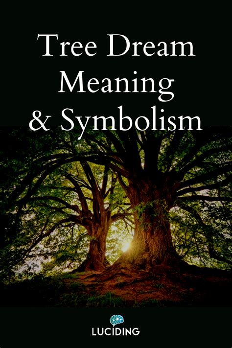 Bleeding Tree Dream Meaning