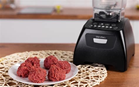 Blend Meat In Blender