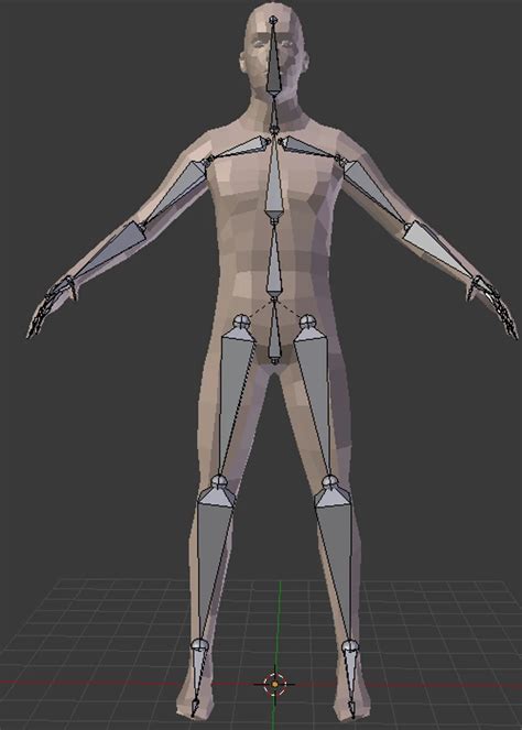 Blender Basic Human Rig