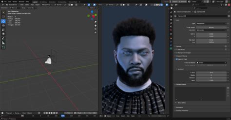 Blender Camera Reset
